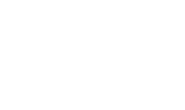 The Solutions Project